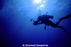 Diver, Egyptian Red Sea, Nikon F50 – Nikkor 20-35mm, No F... by Emanuel Gonçalves 